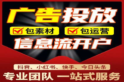 成功SEM服务案例分析报告